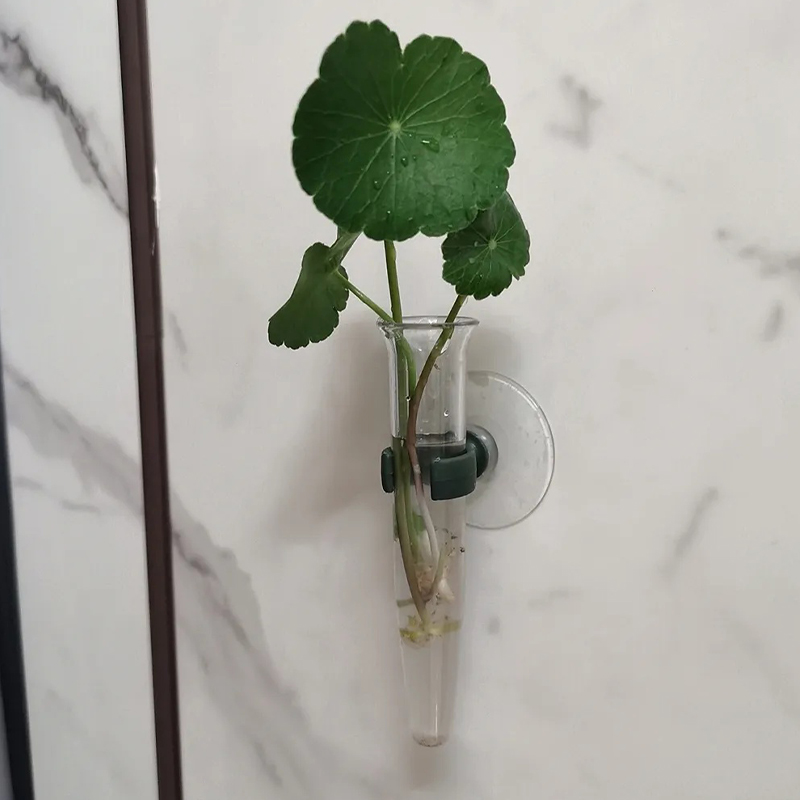 11cm Floral Water Tubes Plasti - đánh giá và giá Nutrition & Fitness Station
