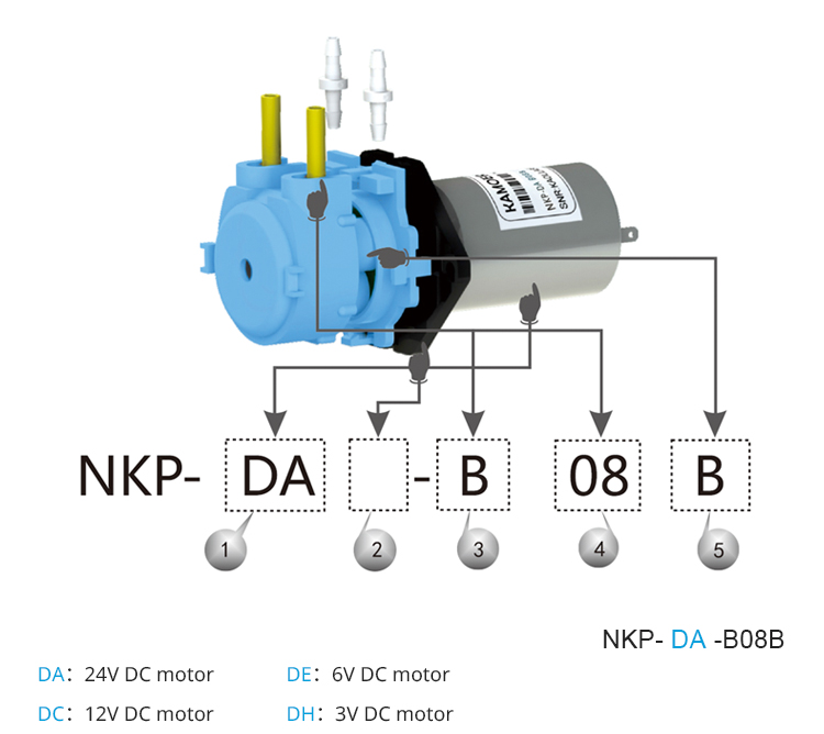 2026 new NKP 6V 12V 24V DC mot - đánh giá và giá Nutrition & Fitness Station