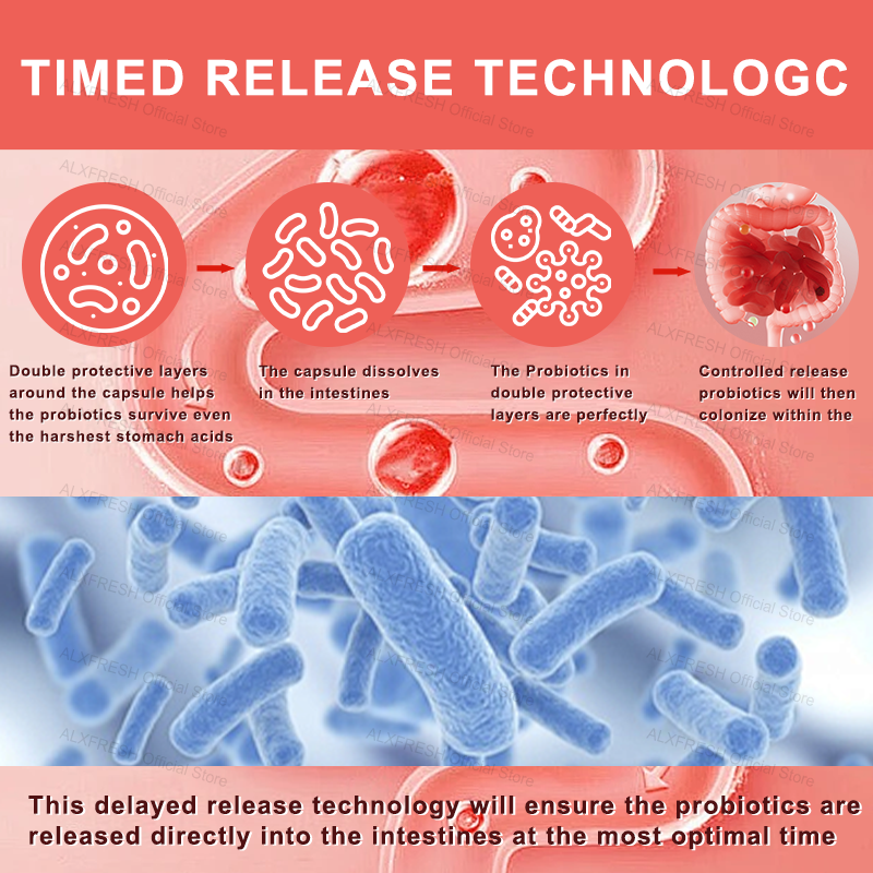 Probiotic Capsules Improve Int - đánh giá và giá Probiotics Women Health
