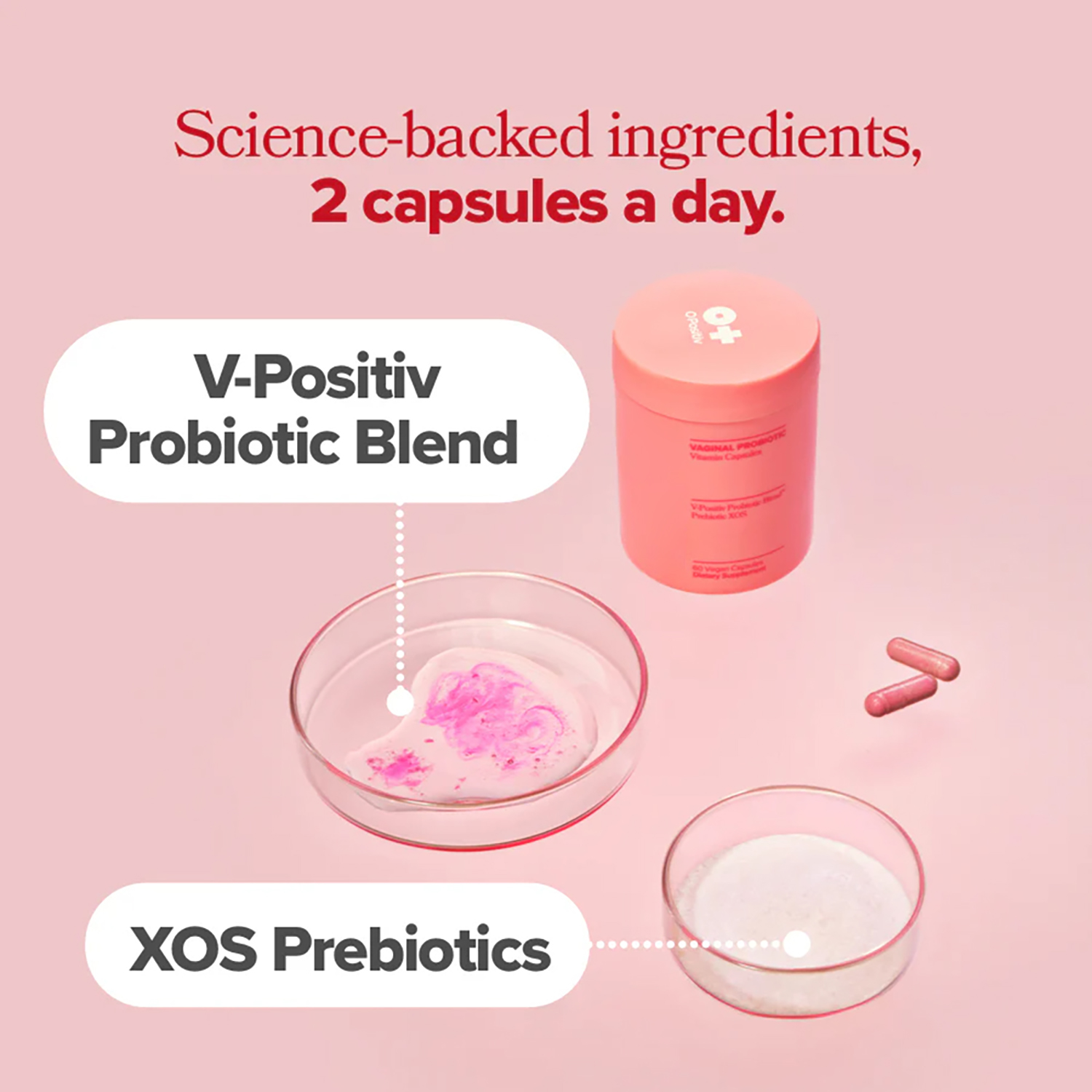 Vagianl Probiotics for Women p - đánh giá và giá Probiotics Women Health