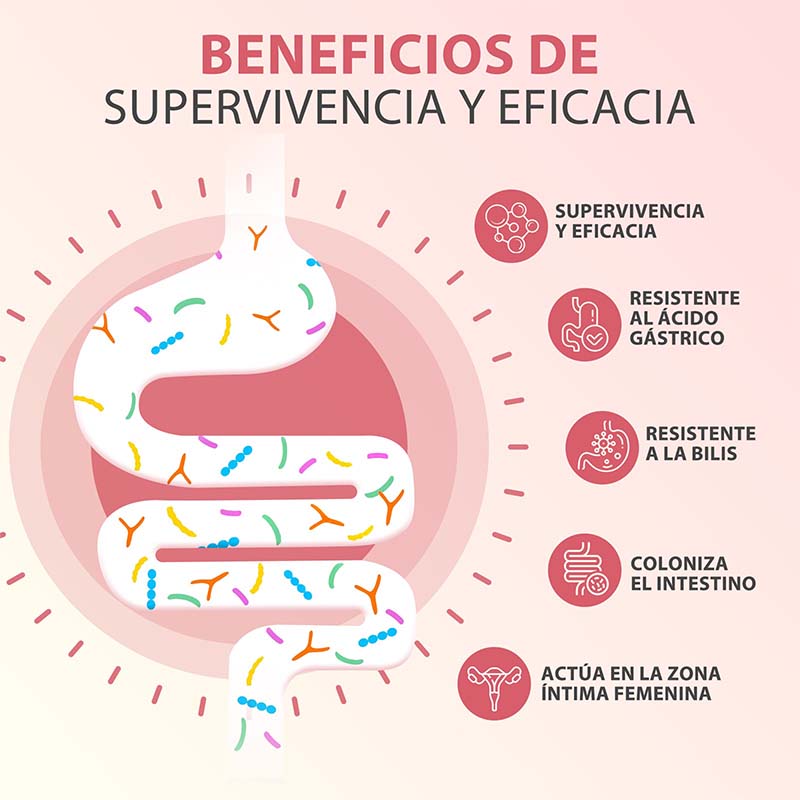 PROBIOTICOS MUJER Capsules - H - đánh giá và giá Probiotics Women Health