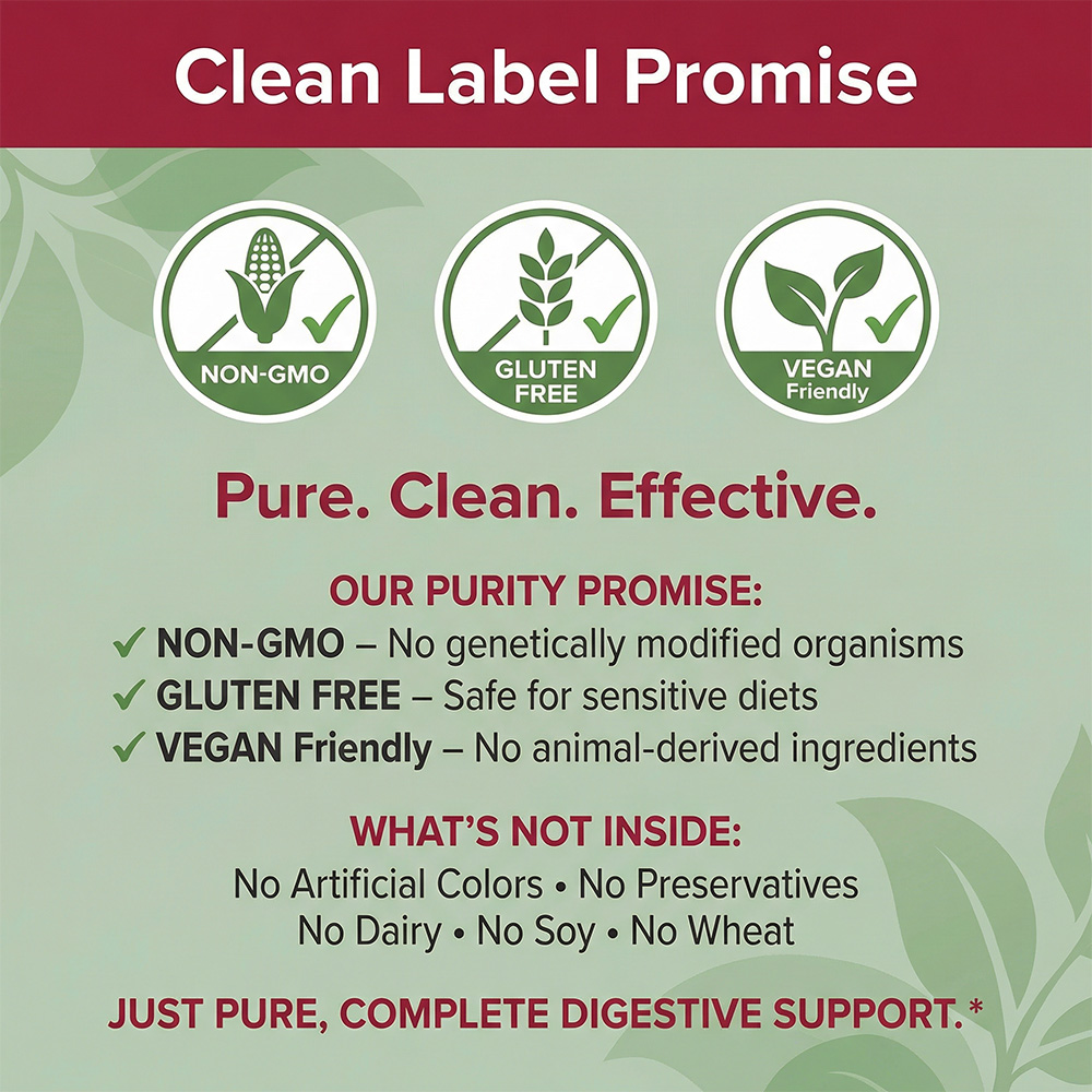 Digestive Enzymes for Gut Heal - đánh giá và giá Probiotics Women Health